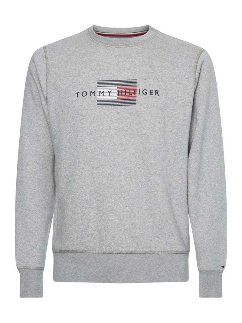 Tommy Hilfiger Pullover & Sweatshirts*LINES HILFIGER CREWNECK light grey heather