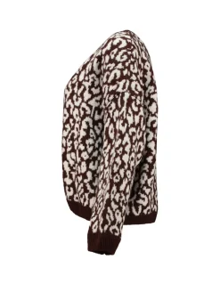 Hailys Pullover & Sweatshirts*LS P CD Le44ni brown-beige leo