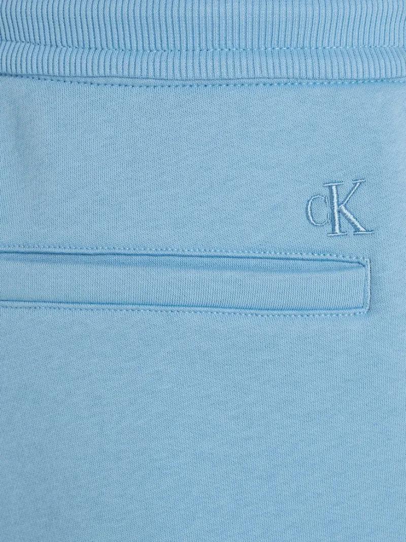 Calvin Klein Jeans Shorts*MONOLOGO SHORT dusk blue