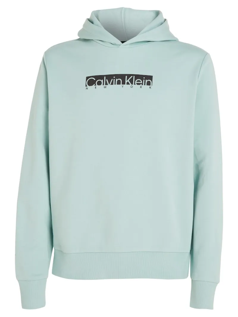 Calvin Klein Pullover & Sweatshirts*NEW YORK BOX LOGO HOODIE ghost glacier