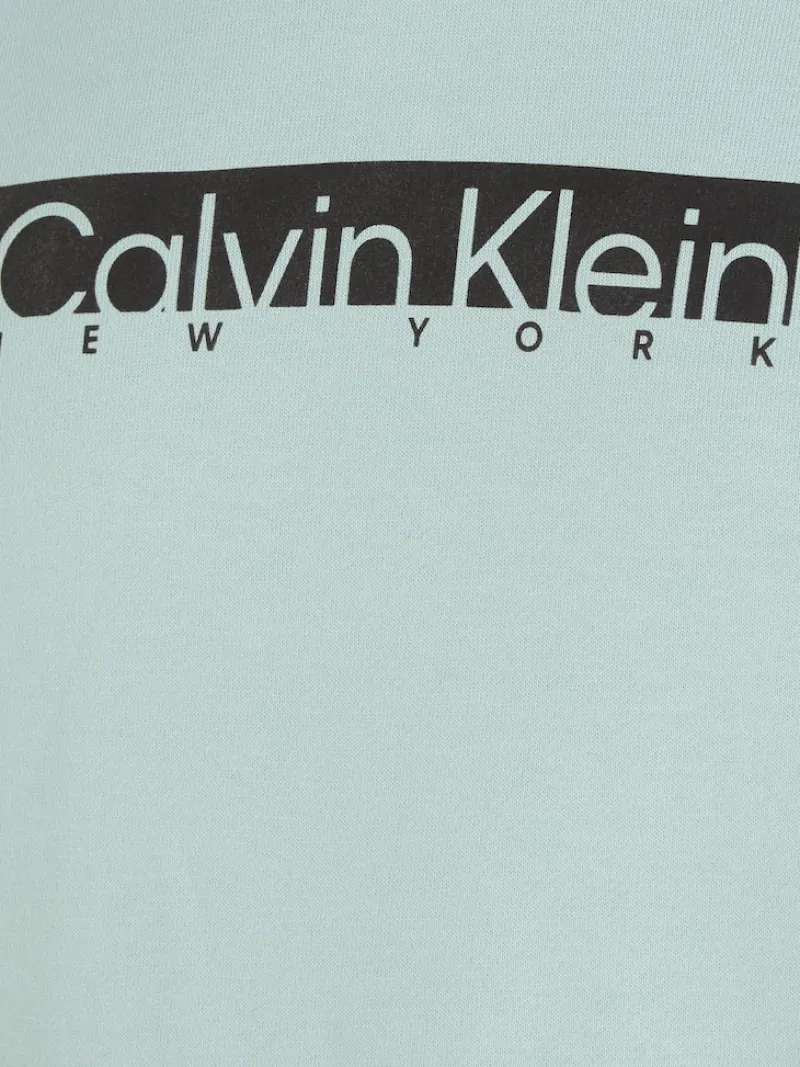 Calvin Klein Pullover & Sweatshirts*NEW YORK BOX LOGO HOODIE ghost glacier