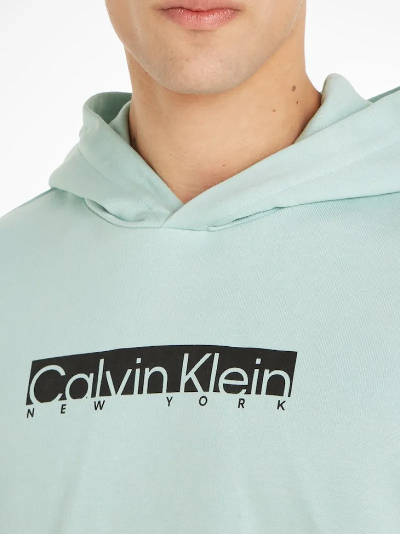 Calvin Klein Pullover & Sweatshirts*NEW YORK BOX LOGO HOODIE ghost glacier
