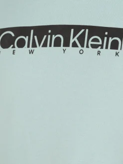 Calvin Klein Pullover & Sweatshirts*NEW YORK BOX LOGO HOODIE ghost glacier