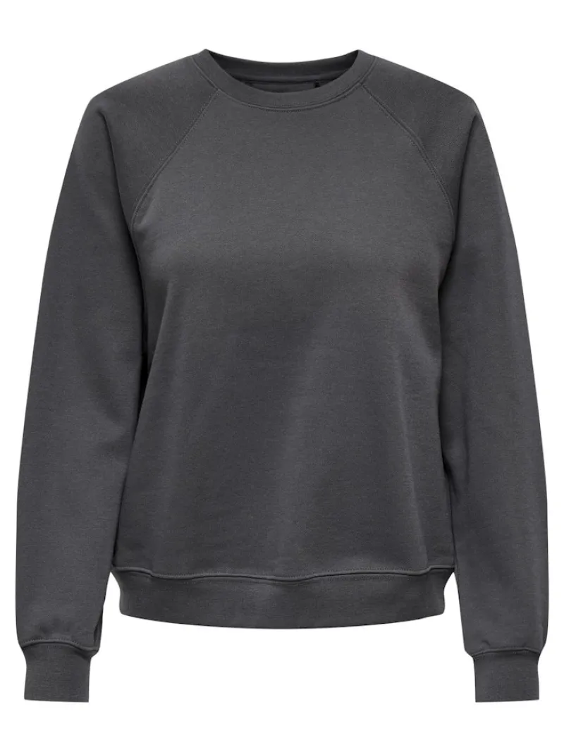 Only Pullover & Sweatshirts*ONLDAZE L/S O-NECK CC SWT magnet