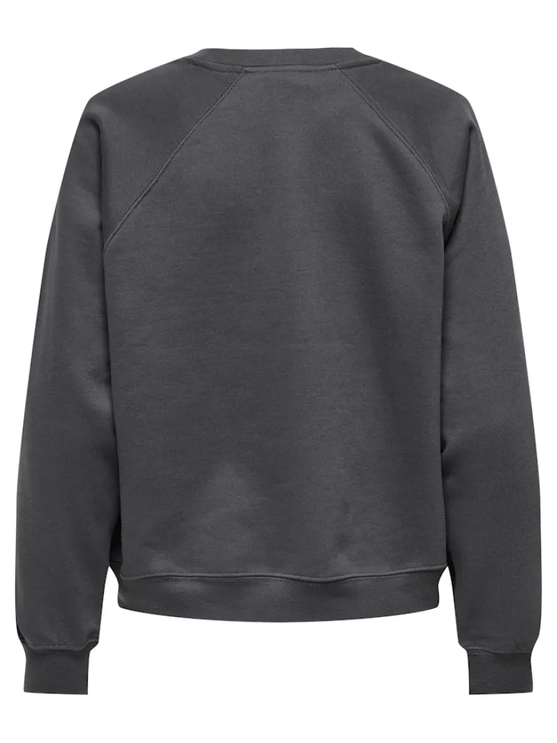 Only Pullover & Sweatshirts*ONLDAZE L/S O-NECK CC SWT magnet