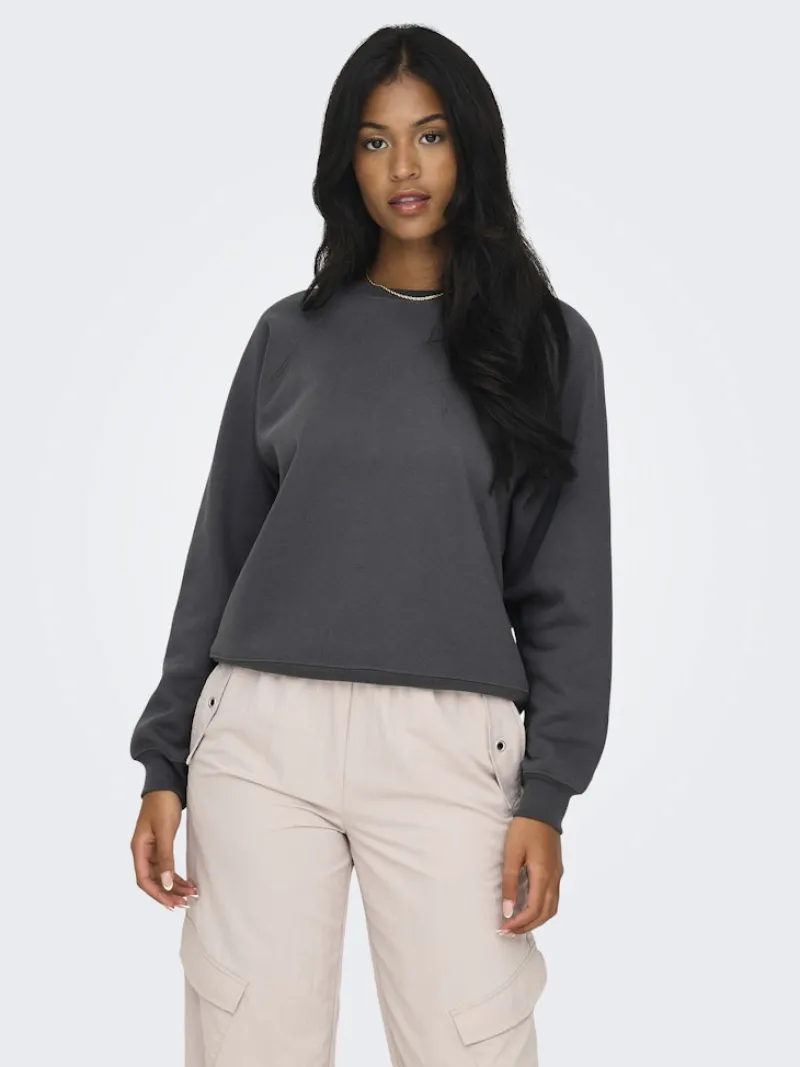 Only Pullover & Sweatshirts*ONLDAZE L/S O-NECK CC SWT magnet