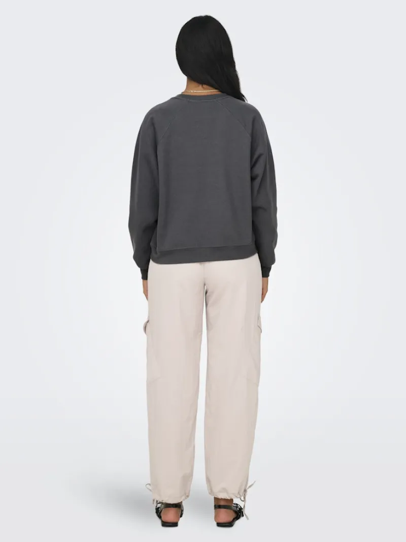 Only Pullover & Sweatshirts*ONLDAZE L/S O-NECK CC SWT magnet