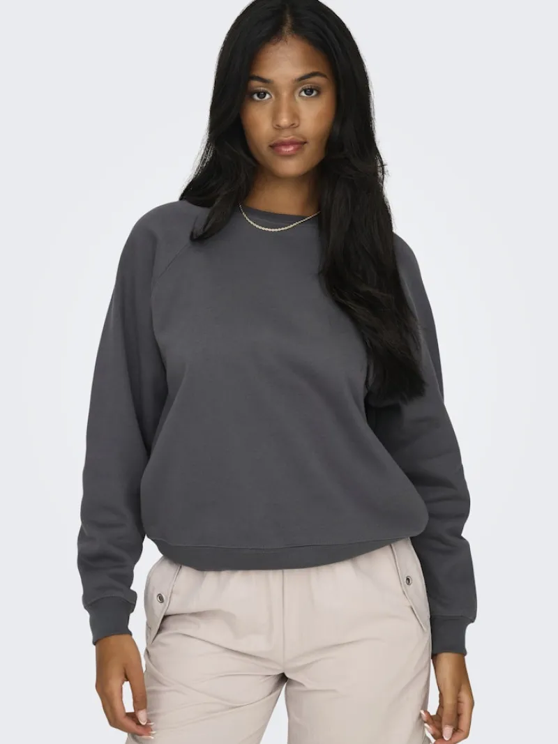 Only Pullover & Sweatshirts*ONLDAZE L/S O-NECK CC SWT magnet