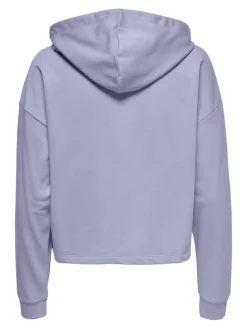 Only Pullover & Sweatshirts*ONLDREAMER L/S HOOD SWT NOOS Cosmic Sky