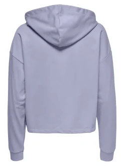 Only Pullover & Sweatshirts*ONLDREAMER L/S HOOD SWT NOOS Cosmic Sky