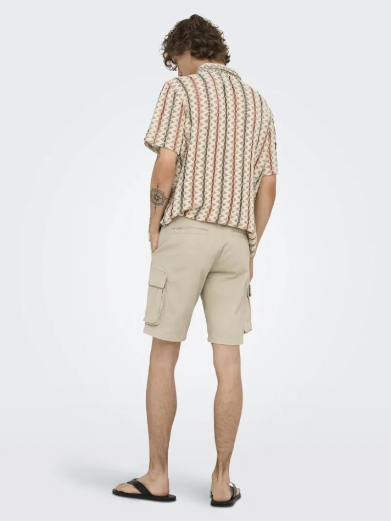 Only & Sons Shorts*ONSCAM STAGE CARGO SHORTS 6689 LIFE NOOS Silver Lining