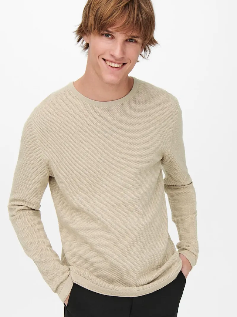 Only & Sons Pullover & Sweatshirts*ONSPANTER REG 12 STRUC CREW KNIT NOOS Silver Lining