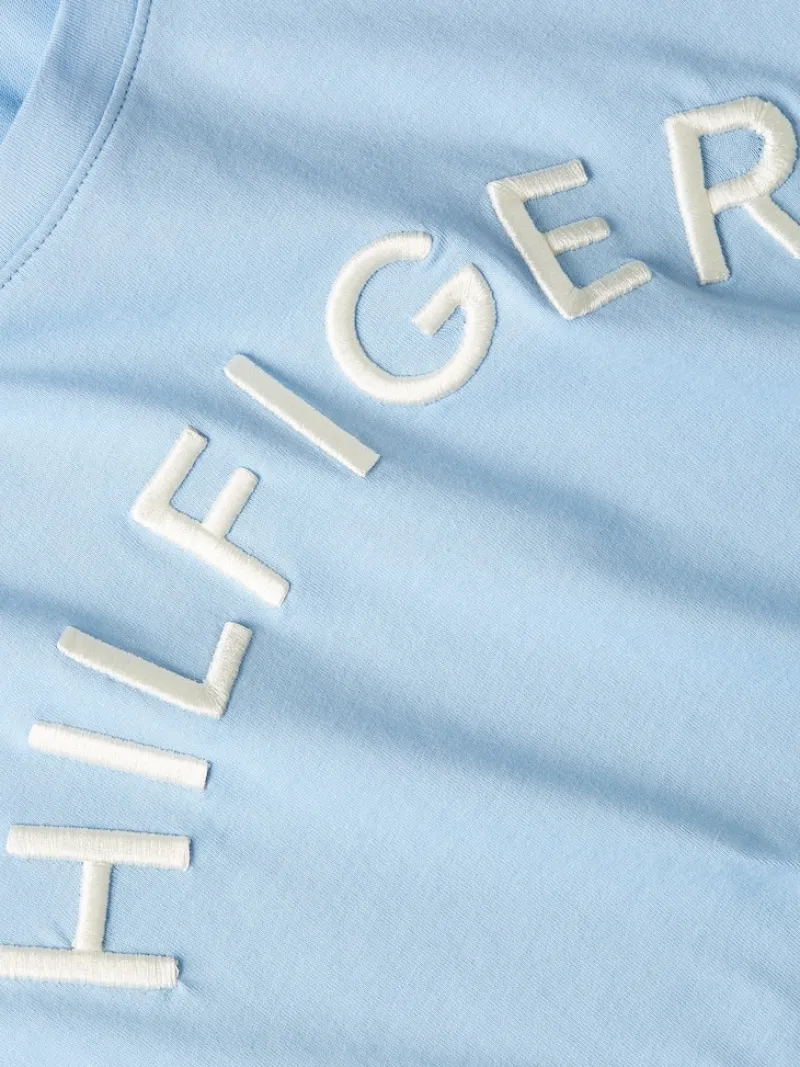 Tommy Hilfiger Shirts*REG HILFIGER VARSITY EMB C-NK SS vessel blue