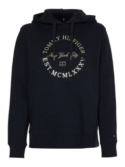 Tommy Hilfiger Pullover & Sweatshirts*REG METALLIC ROUNDALL HOODIE desert sky