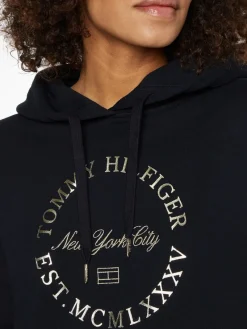 Tommy Hilfiger Pullover & Sweatshirts*REG METALLIC ROUNDALL HOODIE desert sky