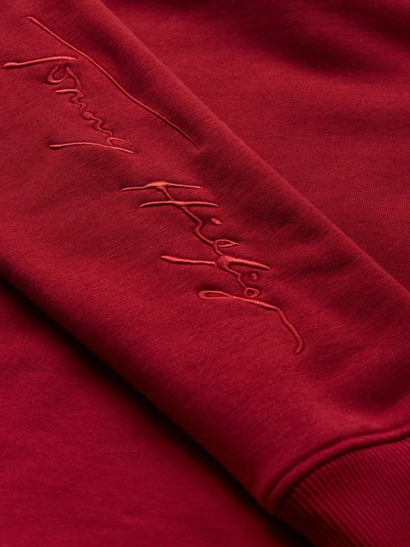 Tommy Hilfiger Pullover & Sweatshirts*REGULAR SCRIPT HOODIE regatta red