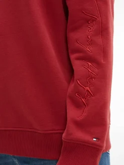 Tommy Hilfiger Pullover & Sweatshirts*REGULAR SCRIPT HOODIE regatta red