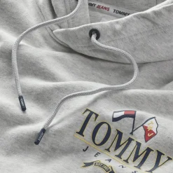 Tommy Jeans Pullover & Sweatshirts*RELAXED FIT SKATER-HOODIE MIT LOGO silver grey