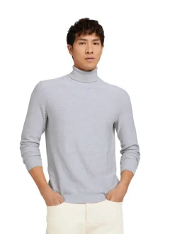 Tom Tailor Denim Pullover & Sweatshirts*Rollkragenpullover light stone grey melange