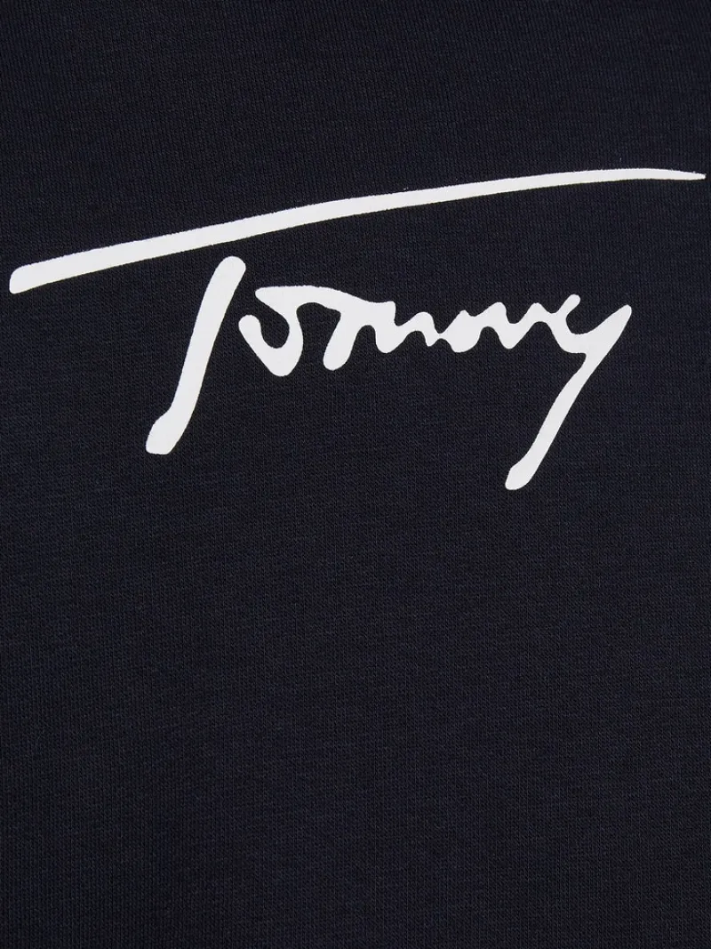 Tommy Hilfiger Pullover & Sweatshirts|Big Boys*SIGNATURE GRAPHIC ZIP THROUGH desert sky