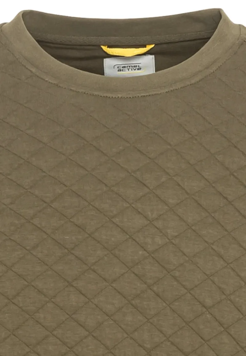 Camel Active Pullover & Sweatshirts|Big Boys*Sweatshirt aus reiner Baumwolle olive brown