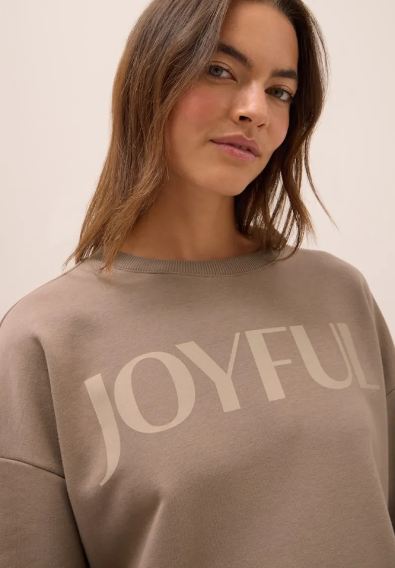 Cecil Pullover & Sweatshirts*Sweatshirt mit Tunnelzug natural taupe