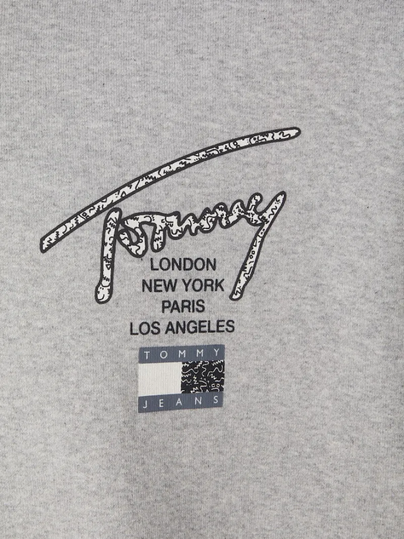 Tommy Jeans Pullover & Sweatshirts*TJM OVZ AOP BACK HOODIE silver grey htr