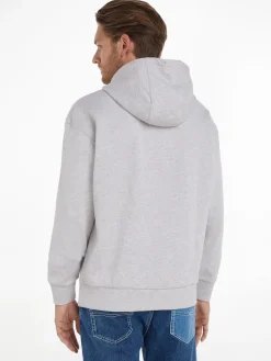 Tommy Jeans Pullover & Sweatshirts*TJM REG ATHLETIC LOGO HOODIE silver grey htr