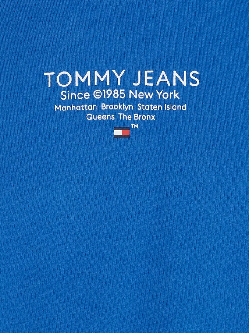 Tommy Jeans Pullover & Sweatshirts|Big Boys*TJM REG ESNTL GRAPHIC HOOD EXT meridian blue