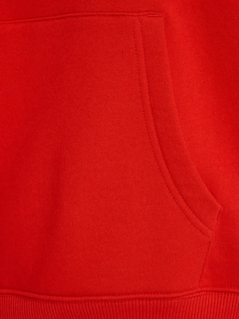 Tommy Jeans Pullover & Sweatshirts*TJW BXY LOGO DRAWCORD HOODIE EXT deep crimson