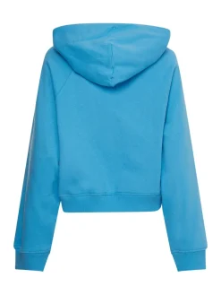 Tommy Jeans Pullover & Sweatshirts*TJW BXY SIGNATURE ZIP HOODIE blue crush