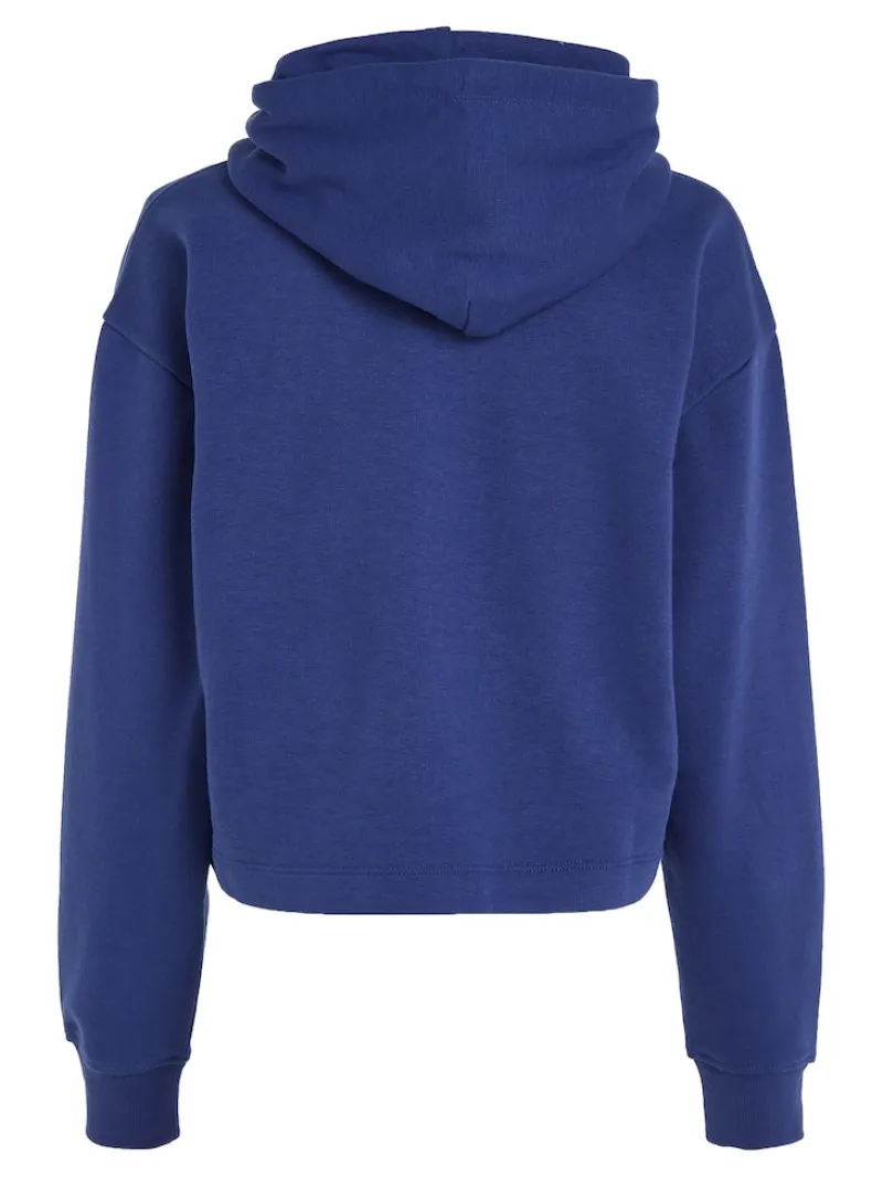 Tommy Jeans Pullover & Sweatshirts*TJW RLX ESSENTIAL LOGO 2 HOODIE pilot blue