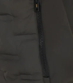 CASAMODA Westen|Big Boys*Weste Grün